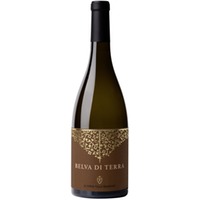 Il Conte Belva d Terra Marche Sauvignon