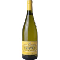 Gavi Salluvii DOCG 0.75l 12,5% - | Castellari Bergaglio