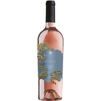 Fantasy Campania IGP trocken - Vernice