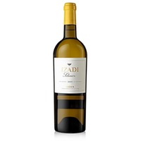 Seleccion DOC Rioja trocken 13.5 % vol. Izadi 750 ml