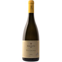 Maia Pecorino Colline Teatine IGP trocken - Cantine Maligni