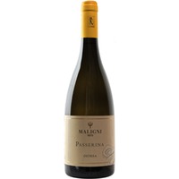 Ostrea Passerina Colline Teatine IGP trocken - Cantine Maligni