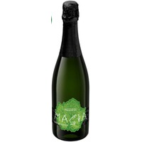 Magia Spumate metodo classico brut - Cantine Pallotta