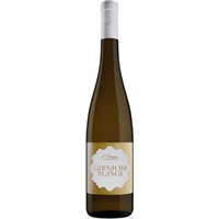 F. Olimpia Garnacha Blanca Navarra DO trocken - Bodegas Olimpia
