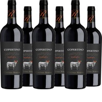 Copertino DOC Rosso Riserva Contessa Marina