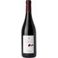 Case di Terra Marche IGP trocken - Cantine Politi
