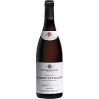 Bouchard Père & Fils : Pommard 1er cru Rugiens Domaine