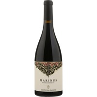 Il Conte Villa Prandone Marinus Rosso Piceno Superiore DOP