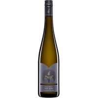 Grüner Veltliner Ried BergTraisental DAC Reserve