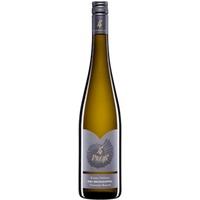 Grüner Veltliner Ried Brunndoppel Traisental DAC Reserve