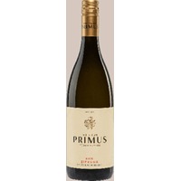 Sauvignon Blanc -RIED ZIEREGG