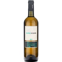 Pallistorti di Valgiano Bianco IGT Valgiano