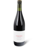 Cincuenta Y Cinco Pinot Noir