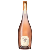 Dry Rosé Merlot / Syrah