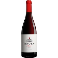 Brota Mencía Spanien Rotwein Trocken