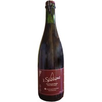 Il Sabbione brut - Monte Duro