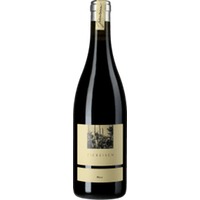 Blauer Spätburgunder Rhini trocken