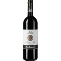 Barbera d'Alba Superiore Fides Vigna Mosconi