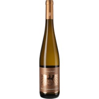 Riesling Steinterrassen Aus Großen Lagen trocken