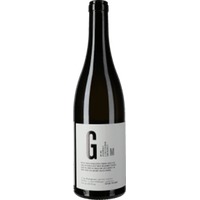 Grüner Veltliner Riede Steiner Schreck Steingutamphore ''Kalt und Klar'' trocken