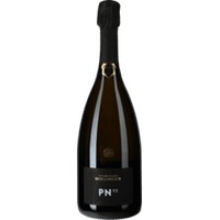Champagne PN VZ 19 Blanc de Noirs Brut Flaschengärung