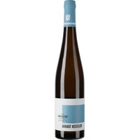 Riesling Rüdesheim Berg Schlossberg Großes Gewächs