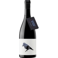Lecciones de Vuelo by Artuke Garnacha