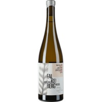 Riesling Falkenberg trocken