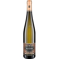 Berg Schlossberg Riesling GG trocken - Weingüter Wegeler Oestrich