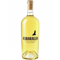 Finca las Caraballas Sauvignon Blanc Magnum