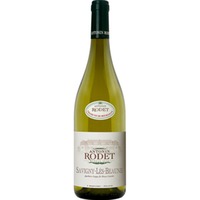 Antonin Rodet Savigny Les Beaune Blanc