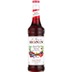 Sirope Monin Spiced Red Berries 