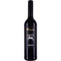 Christian Hirsch Lemberger