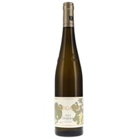 Riesling Ölberg GG KÜHLING-GILLOT (bio)
