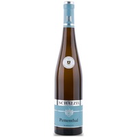 Riesling Pettenthal Kabinett Grosse Lage Versteigerung-Wein WEINGUT SCHÄTZEL