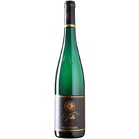 Riesling Volz GG