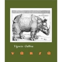 La Spinetta - Barbaresco Vigneto Gallina DOCG 2020