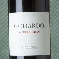Goliardo A Telleira Caiño