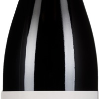 Zweigelt Kieselstein