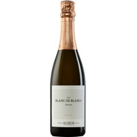 Sekt Blanc de Blancs Reserve, Brut, Niederösterreich, Niederösterreich, 2021, Schaumwein