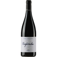 Canforrales Syrah Tradicion Mancha Rotwein Spanien trocken
