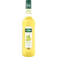 Profisirup Lemon MIx 0,7l - Mathieu Teisseire