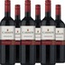 Carmen Cabernet Sauvignon 