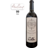 Aleanna • Gran Enemigo Gualtallary Single Vineyard