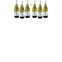Grüner Veltliner Kremstal DAC Paket