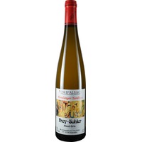 Pinot Gris Vendanges Tardives Alsace AOP halbtrocken - Frey-Sohler