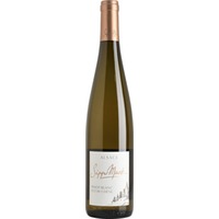 Pinot Blanc Fût de Chêne Alsace AOP trocken Bio - Sipp Mack