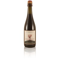 Venturini Baldini Montelocco Emilia Lambrusco IGP semisecco