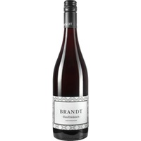 Markus Brandt Blaufränkisch, Trocken, Rheinhessen, Rheinhessen, 2020, Rotwein
