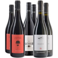 Rotweinpaket Frankreich, Italien & Österreich